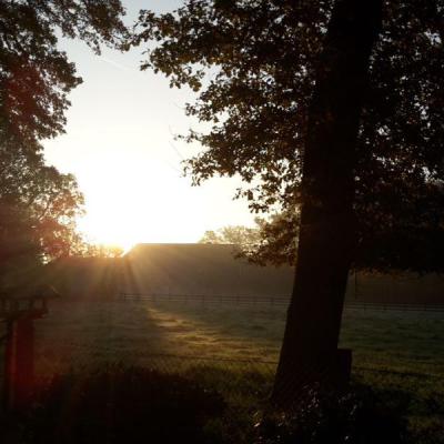 Buchholzer Impressionen 02 800